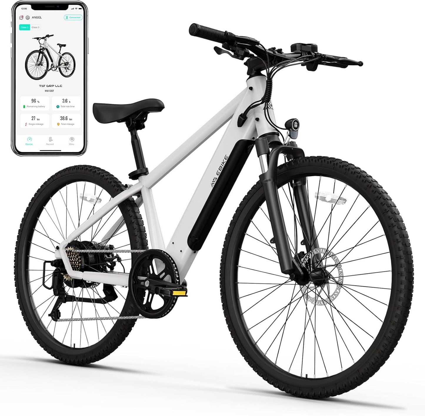 TST Electric Bike for Adults with 750W Motor and Removable Battery