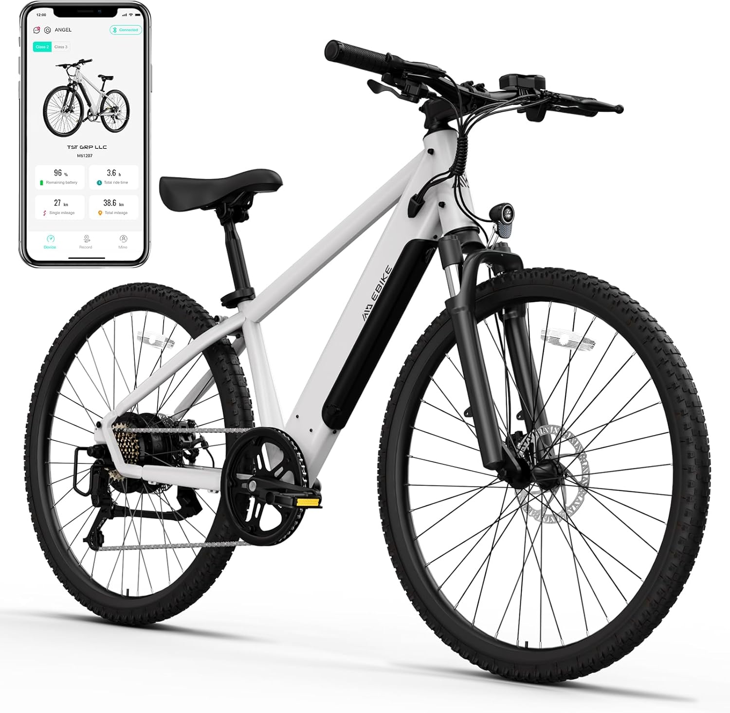 TST Electric Bike for Adults with 750W Motor and Removable Battery