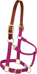 Breakaway Horse Halter Supple Leather Crown - Durable Everyday Halter