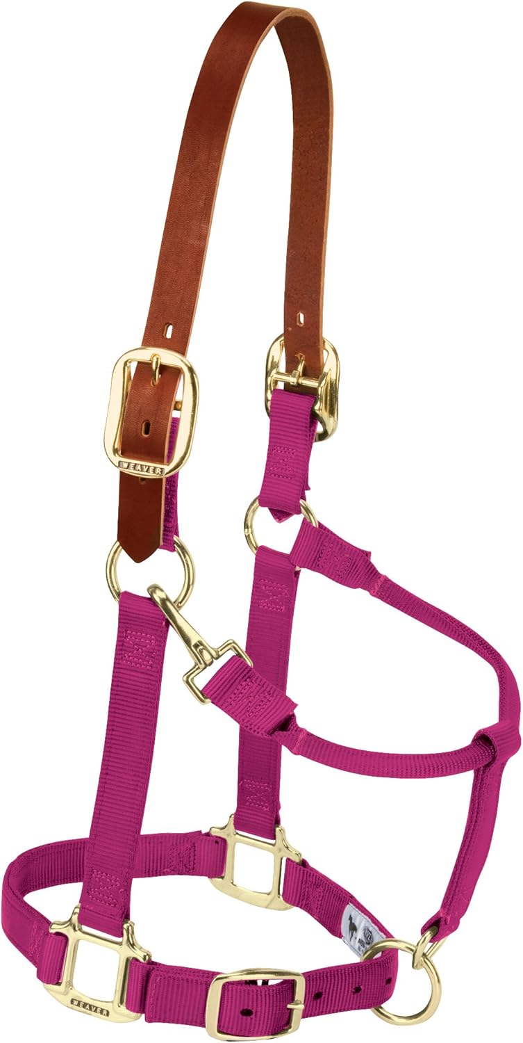 Breakaway Horse Halter with Supple Leather Crown for Horses