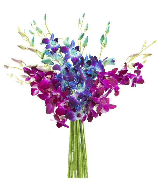 Midnight in the Tropics Bouquet of Blue and Purple Orchids