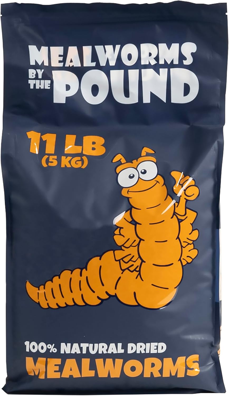 Bulk Dried Mealworms for Chickens & Wild Birds - 11 Lbs Treats