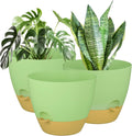 12in Self Watering Plant Pot Planter - Minimalist Indoor Planter
