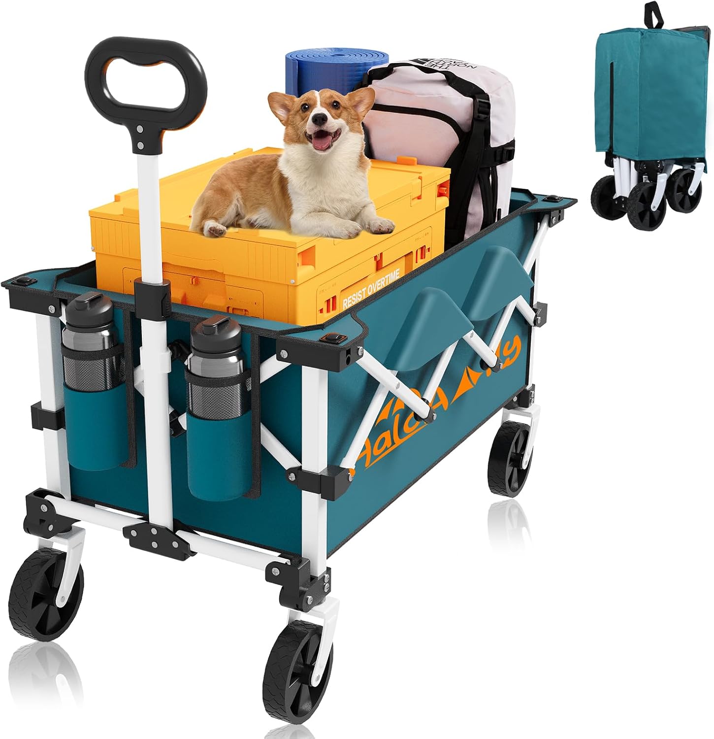 Foldable Grocery Cart on Wheels - Heavy Duty Collapsible Wagon