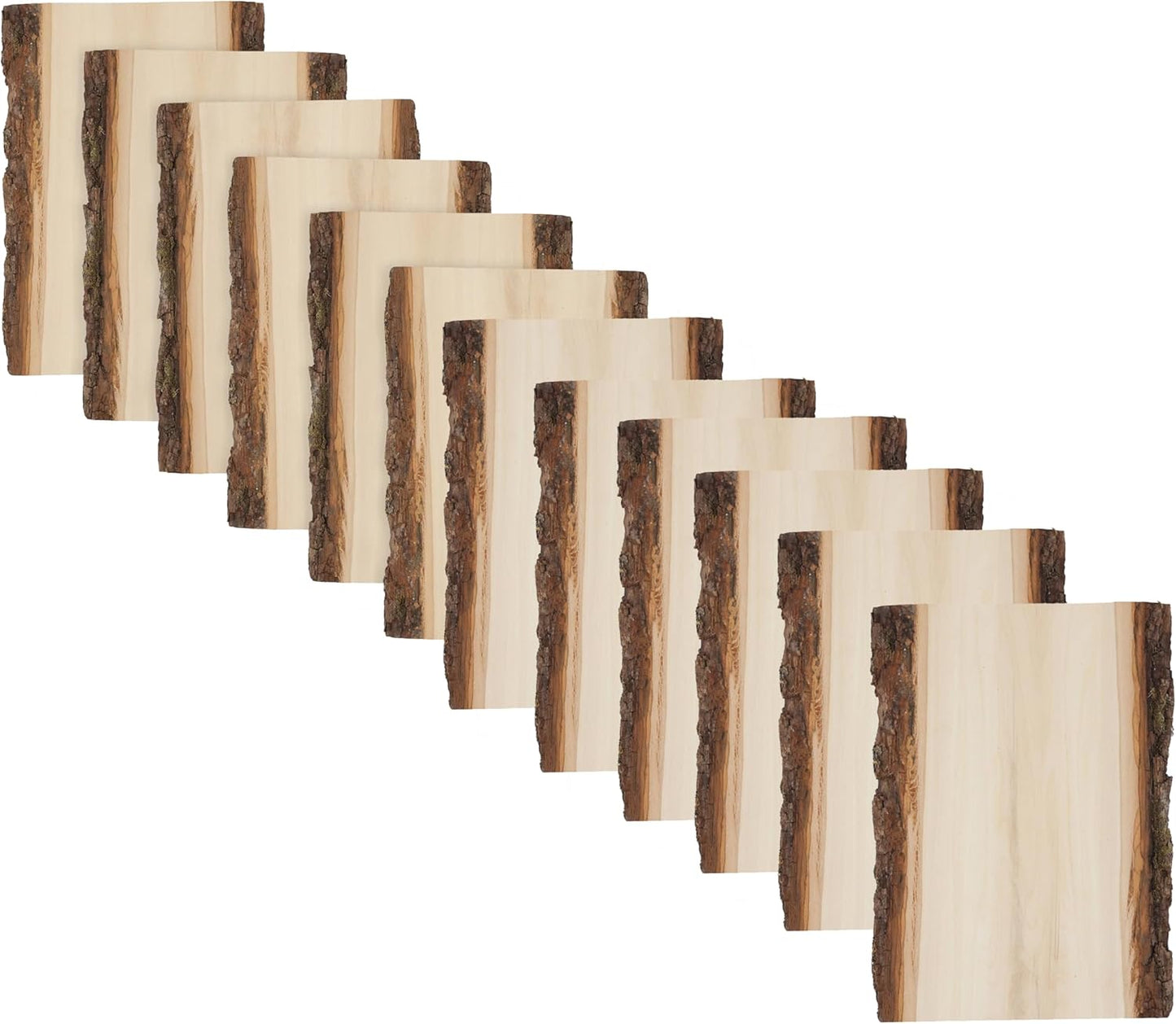 Premium Basswood Live Edge Plank 12-Pack for Crafting Projects
