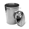 Plexon 20 Gallon Metal Trash Can with Lid for Outdoor Use
