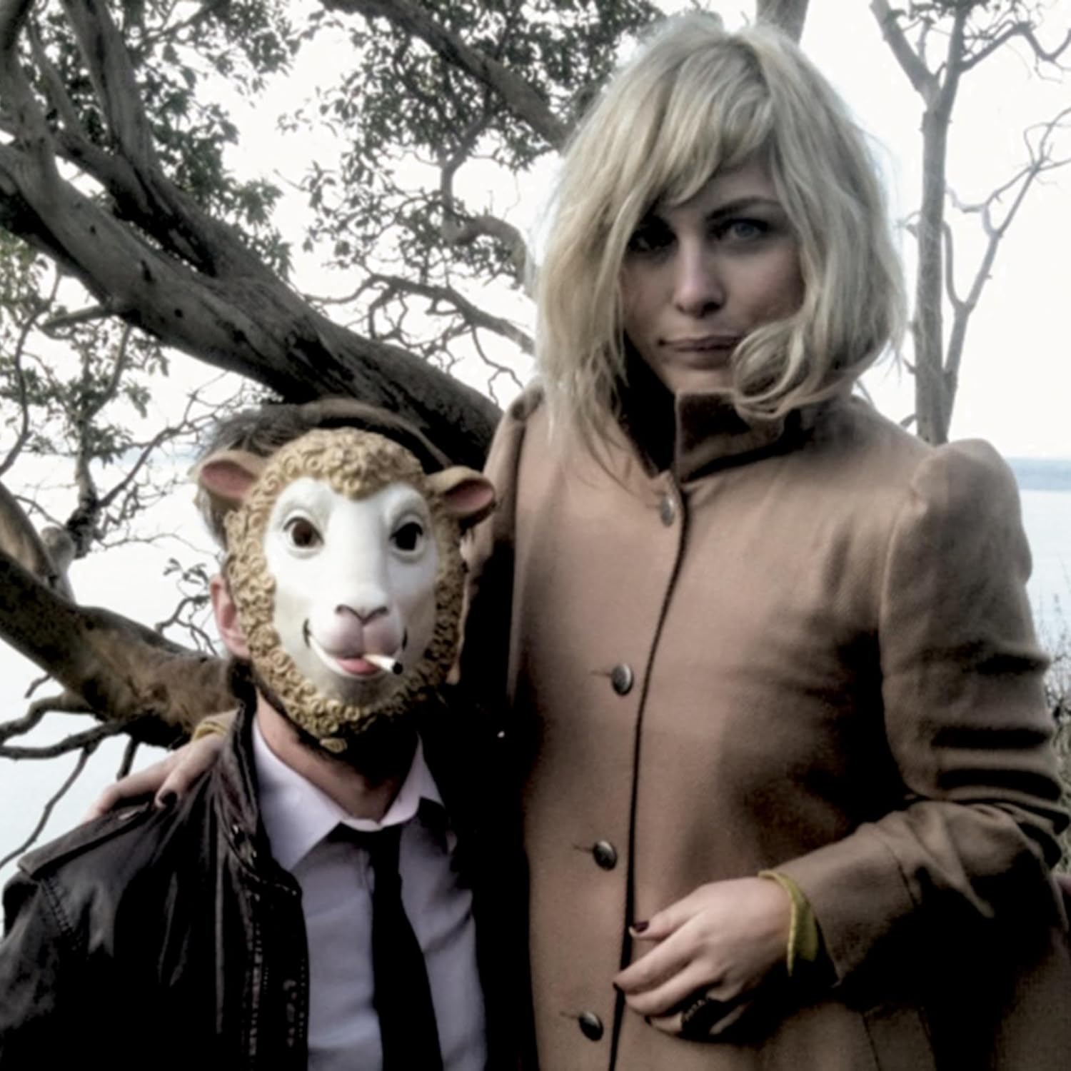 The Head & the Heart Chord - A Melodic Journey Awaits You