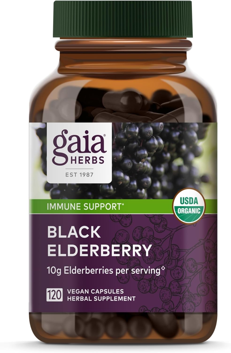 Black Elderberry Daily Immune Support Supplement - 120 Vegan Capsules