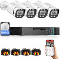 Wired Security Camera System Outdoor 4 Channel 5MP Lite DVR - Reliable