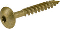 Power Pro 1/4 in x 2 in Lag Screws, Star Drive - Rust Resistant