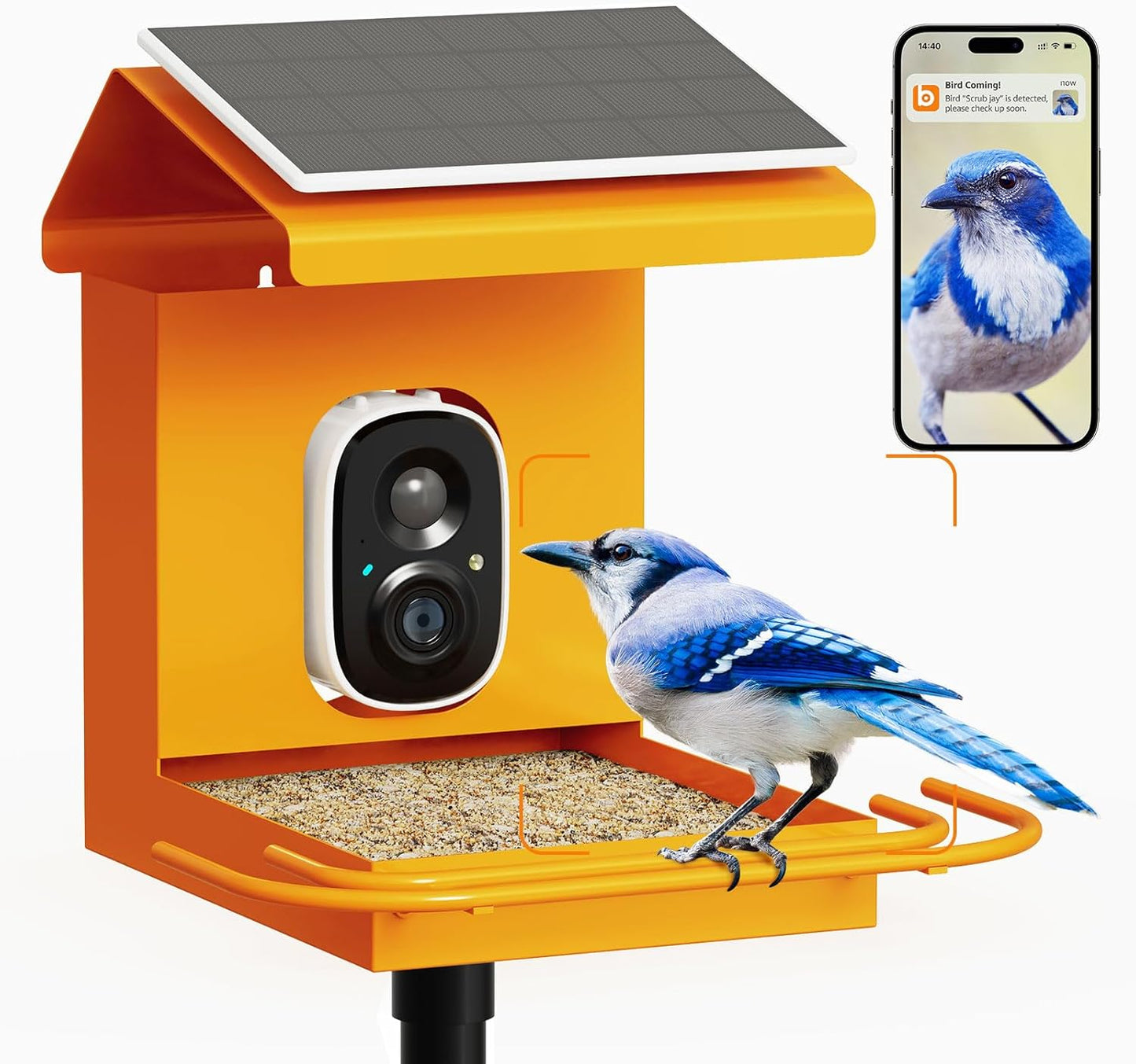 Capture Birds Up Close: Bilantan Smart Feeder 