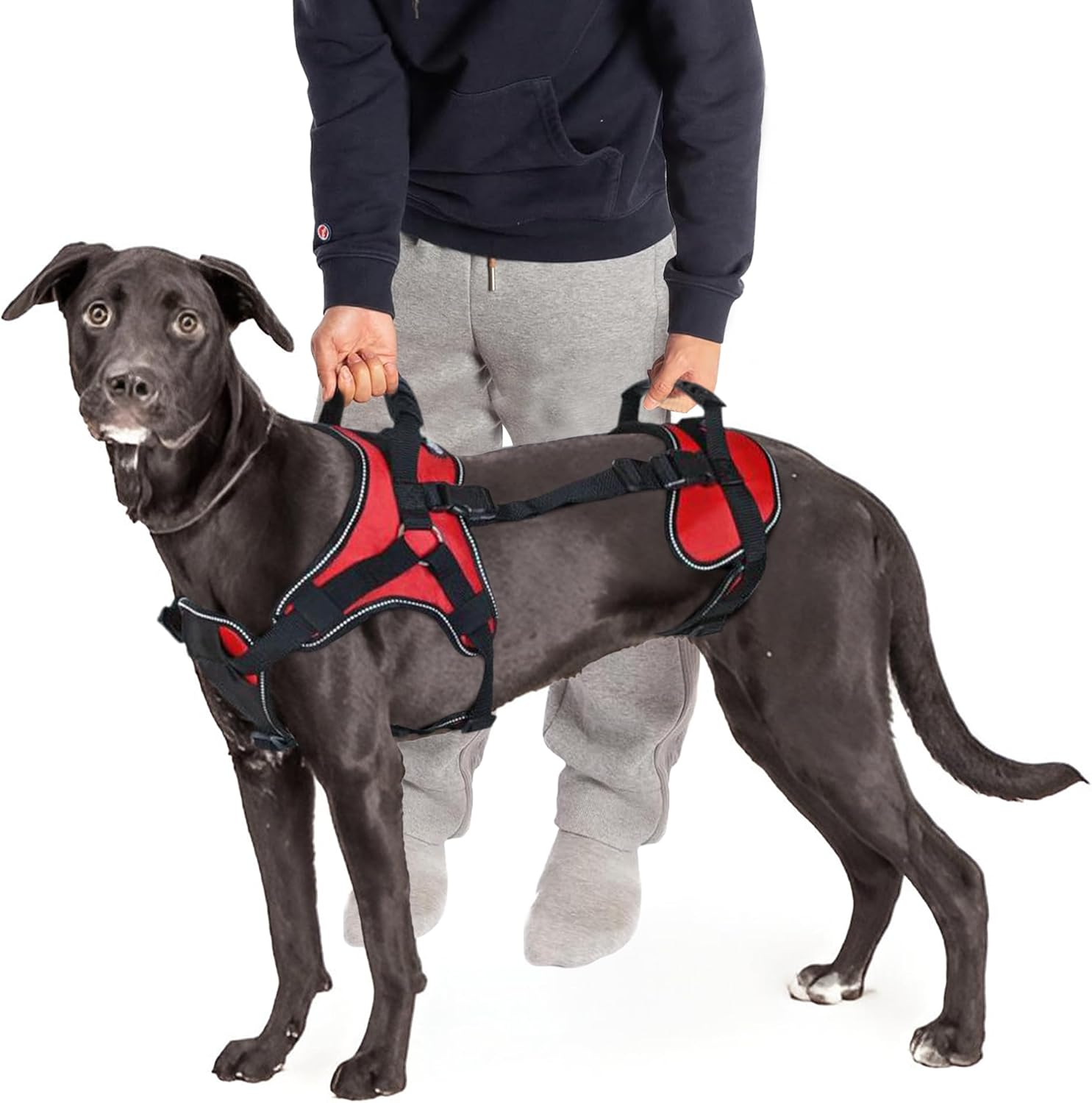 Doggie Stylz Multi-Functional Full-Body Lifting Dog Harness Vest