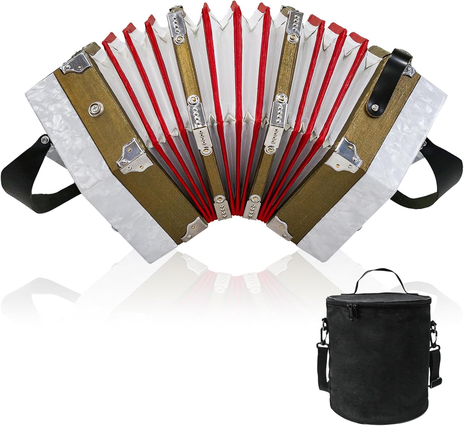 20-Key Accordion for Adults - Professional Quality Instrument