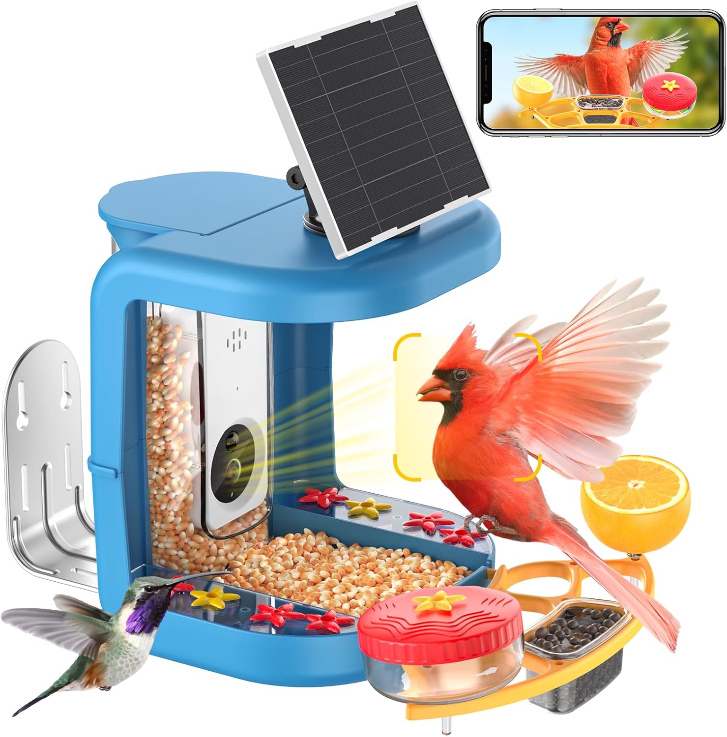 2K Solar Bird Feeder Camera - Capture Nature's Beauty