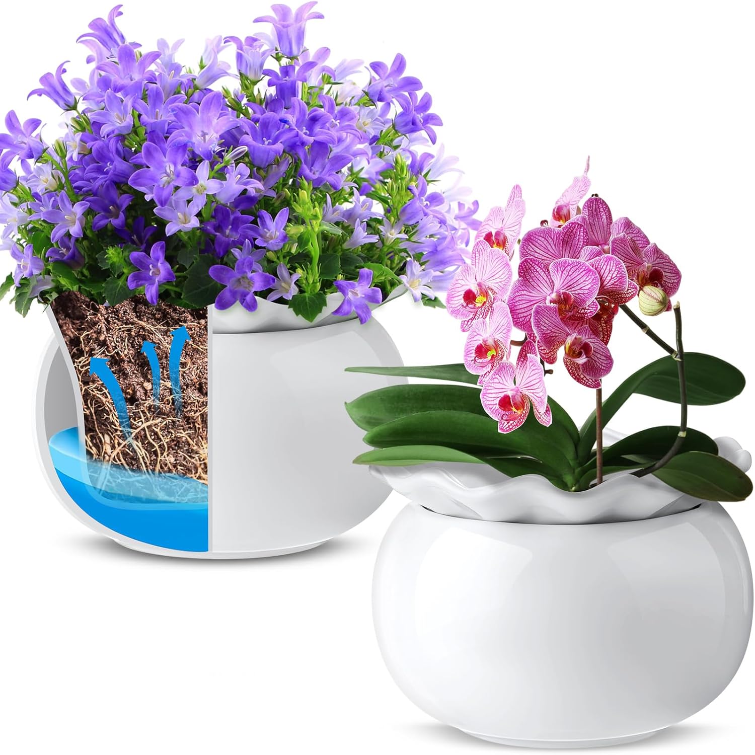 Self Watering Ceramic African Violet Pots for Indoor Plants