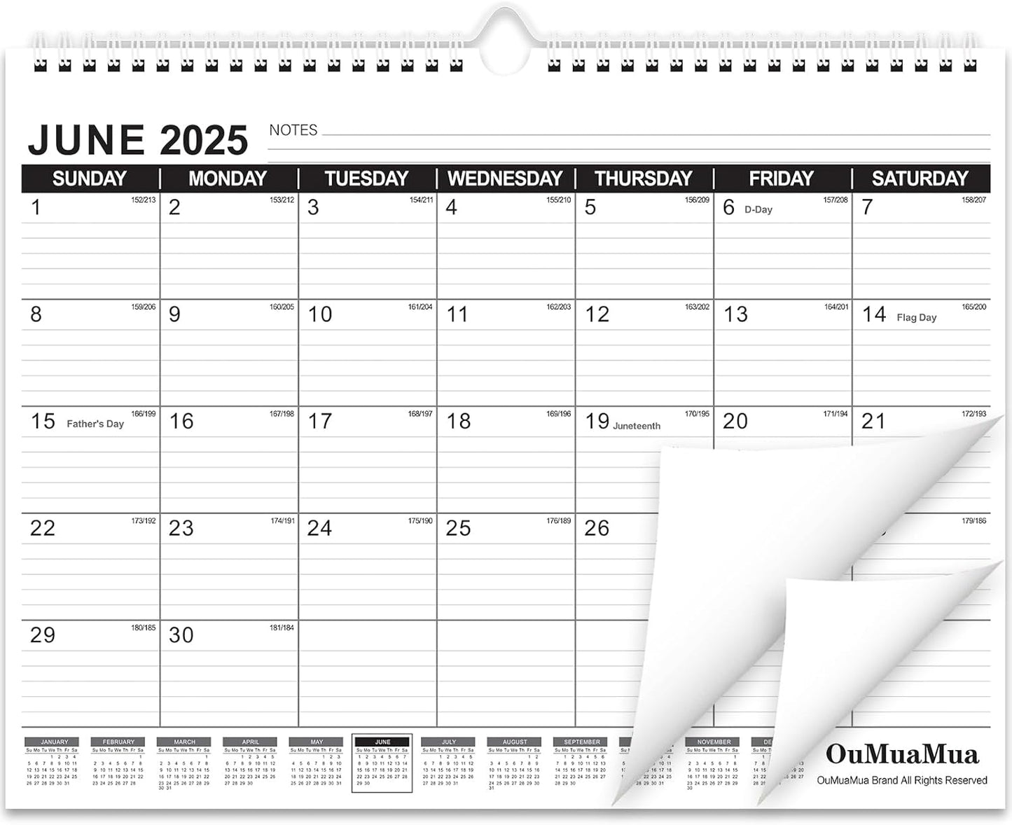OuMuaMua 2025-2026 Wall Calendar - 19 Month Organizer for Home & Office