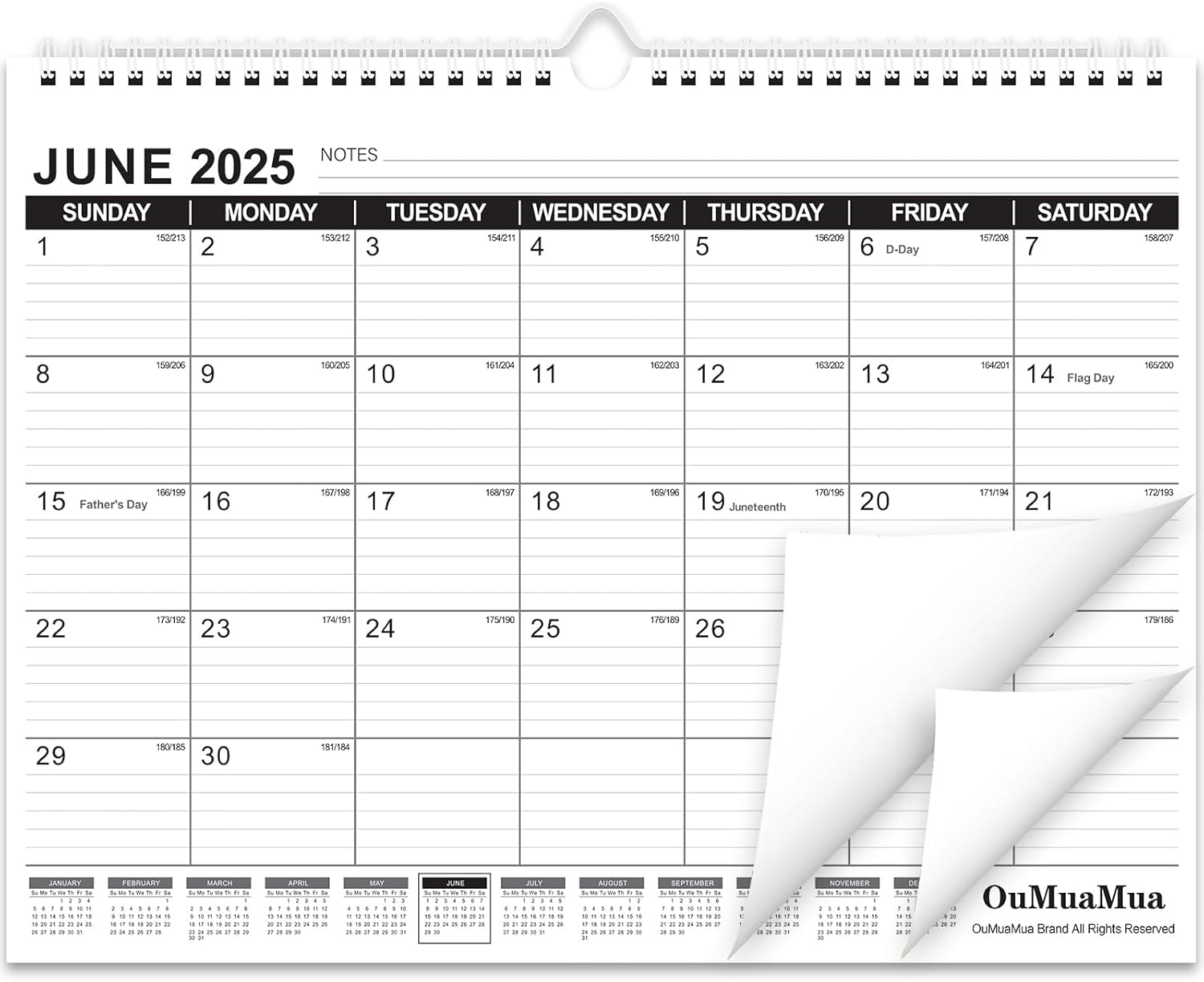 OuMuaMua 2025-2026 Wall Calendar - 19 Month Organizer for Home & Office