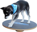 FitPAWS 20 Wobble Board - Strengthen Your Dog's Core