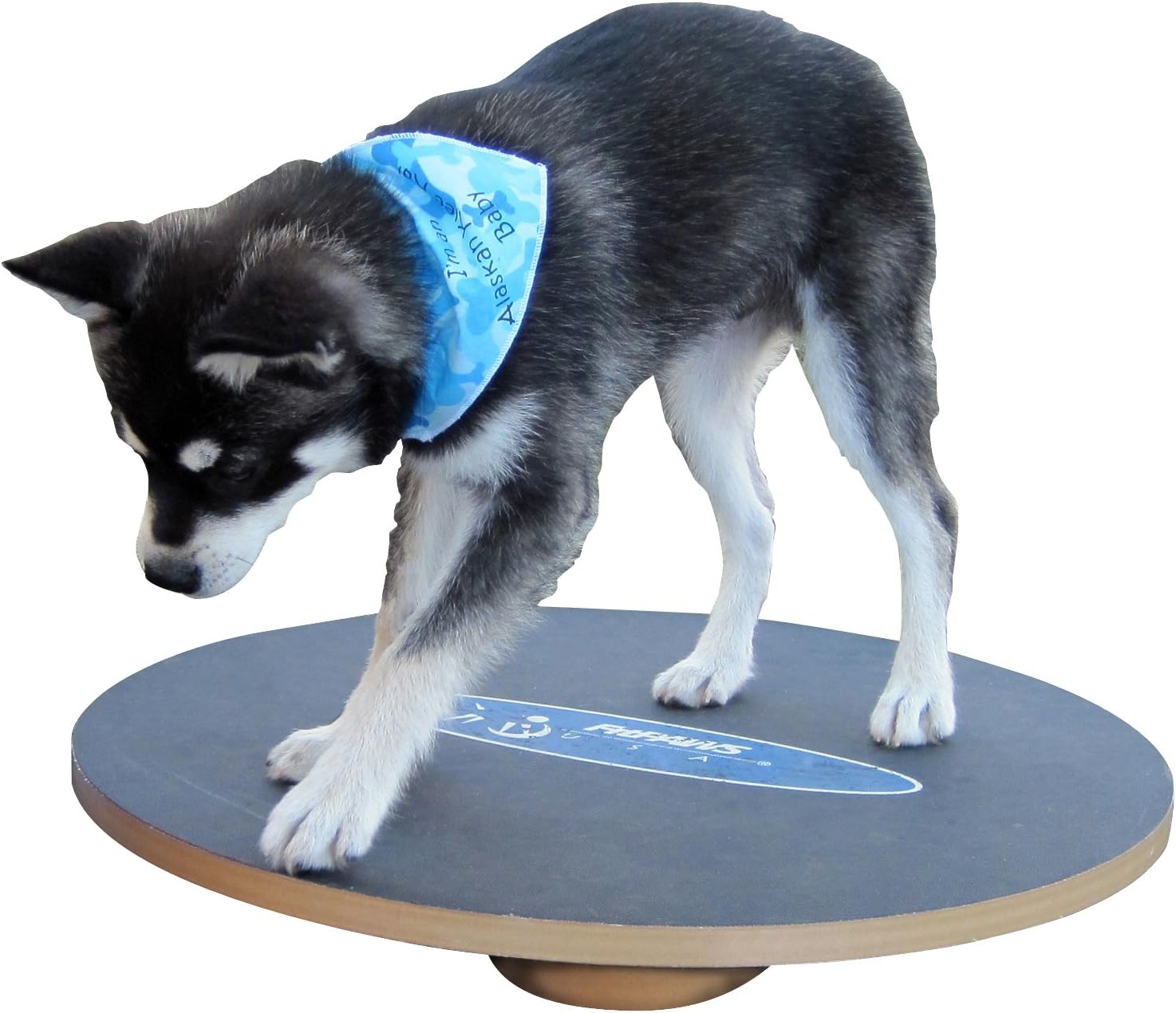 FitPAWS 20 Wobble Board - Strengthen Your Dog's Core