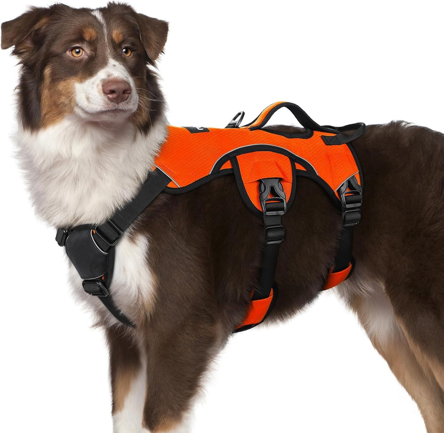 Escape Proof Dog Harness for Large Dogs by rabbitgoo - M, Orange
