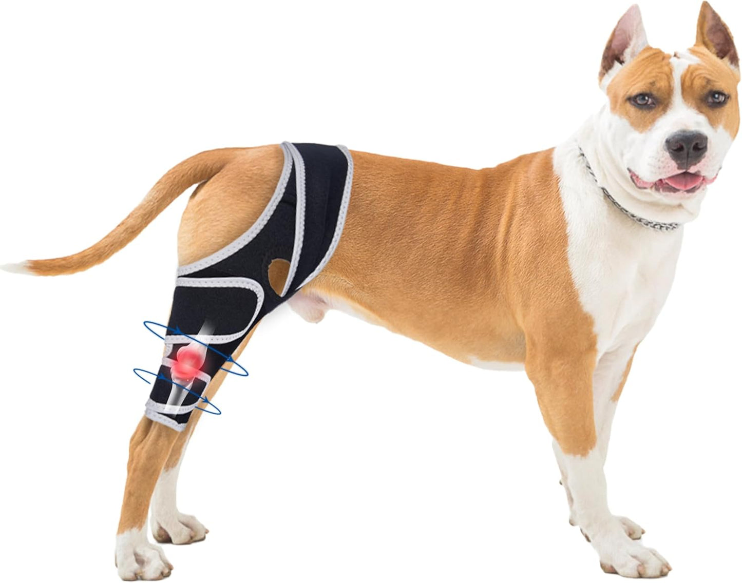 Dog Knee Brace for Torn ACL - Adjustable Support for Recovery