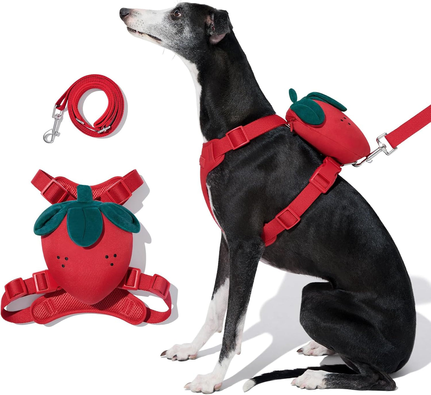 VETRESKA Strawberry Dog Harness and Leash Set for Easy Control