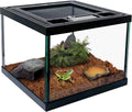 Mini Reptile Glass Terrarium Tank 8 x 8 x 6 in - Compact Full View