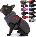 Extra Warm Dog Coat for Medium Dogs - Waterproof, Windproof M
