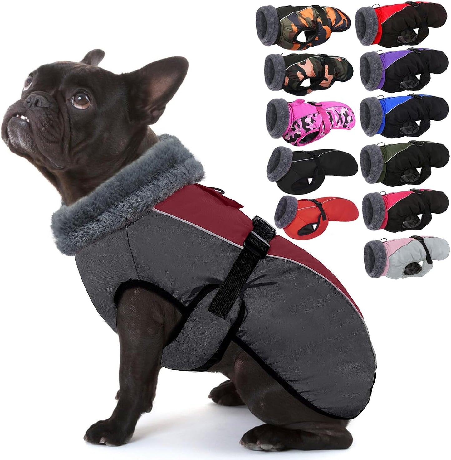 IECOii Extra Warm Dog Coat for Medium Dogs - Waterproof & Windproof