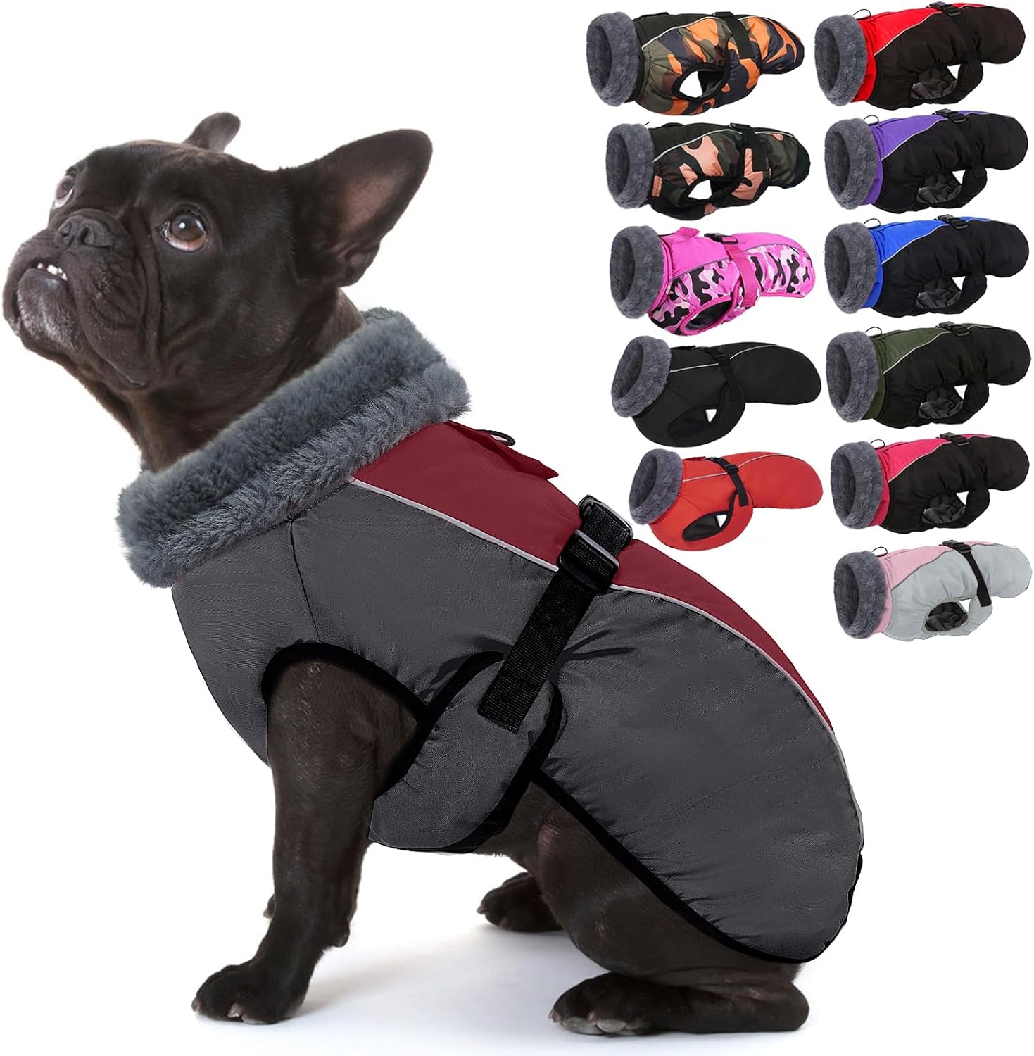 IECOii Extra Warm Dog Coat for Medium Dogs - Waterproof & Windproof