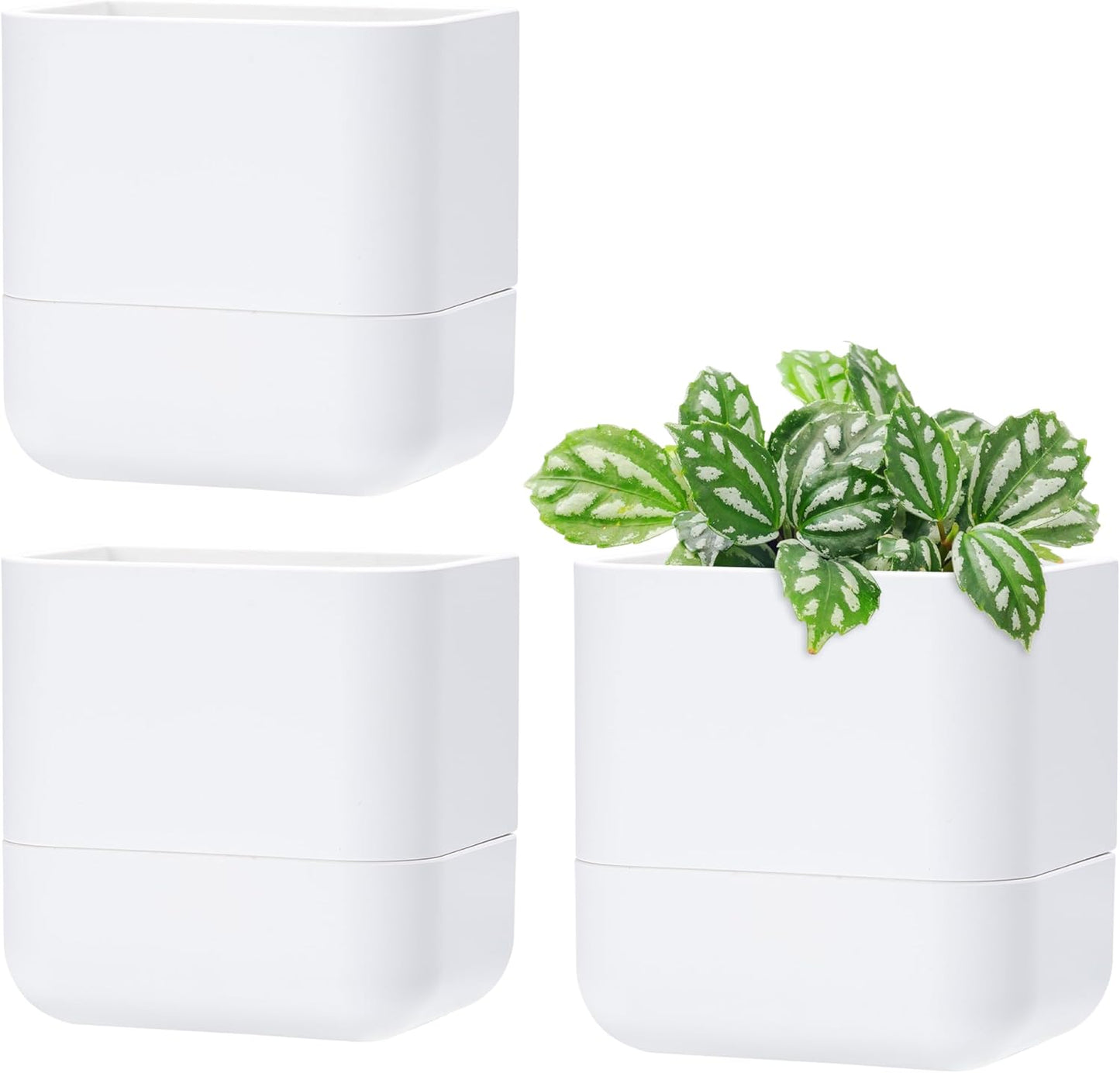 Self-Watering Wall Planter Pot for Indoor Houseplants & Herbs