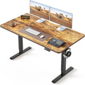 BANTI 55 24 Inches Standing Desk Ergonomic Electric Height Adjustable