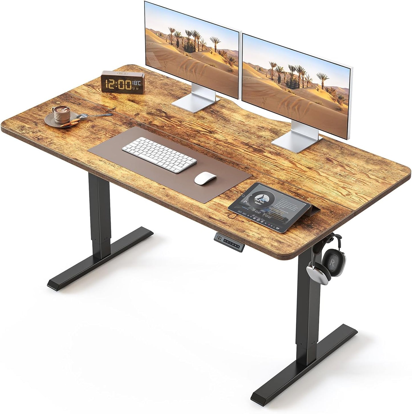 BANTI 55 24 Inches Electric Height Adjustable Standing Desk