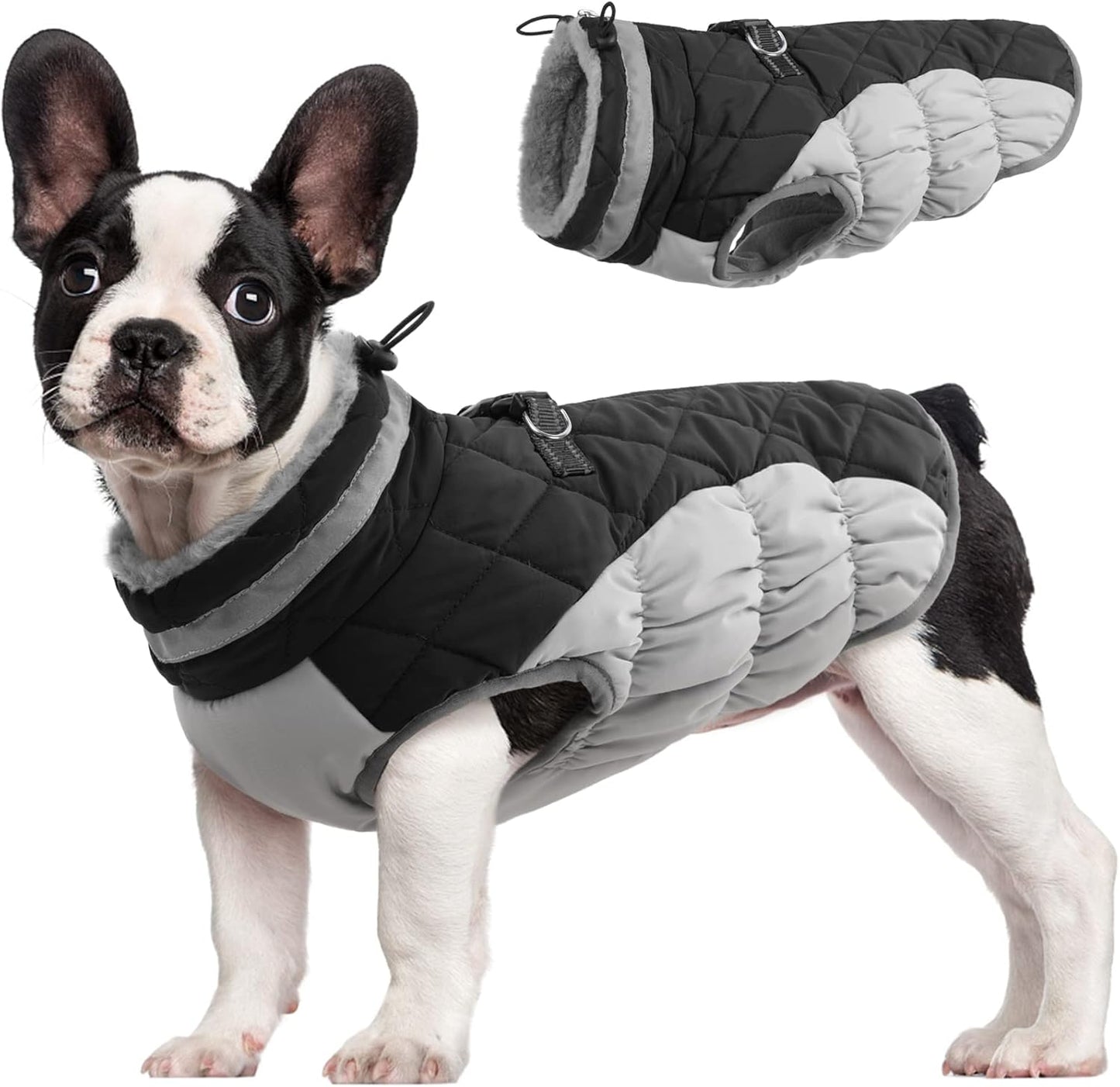 FUAMEY Dog Coat for Medium Dogs - Waterproof Winter Jacket