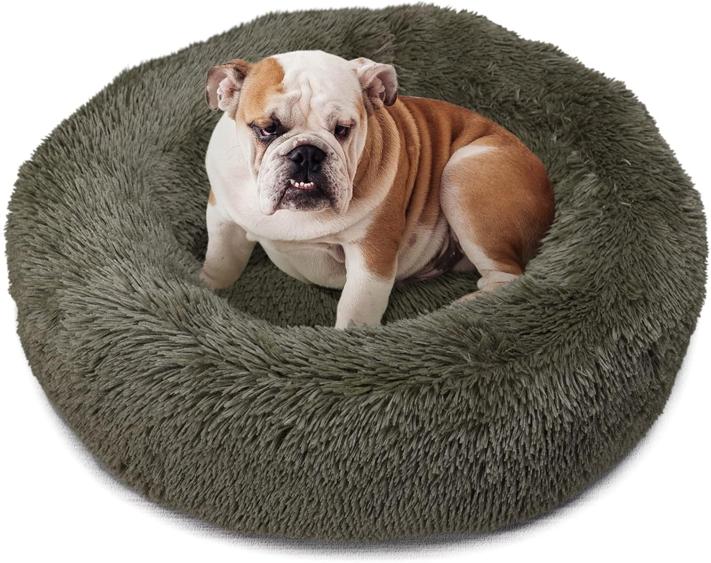 Orthopedic Dog Bed Mat for Medium Dogs, Army Green Comfort