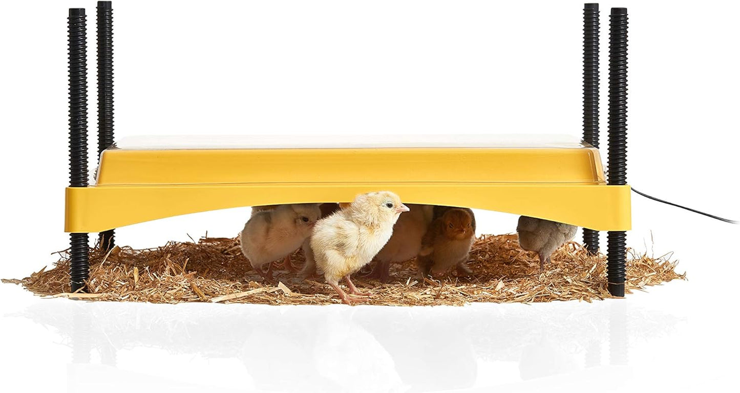 Brinsea Ecoglow 1200 Brooder: Safe, Adjustable Heat for 35 Chicks