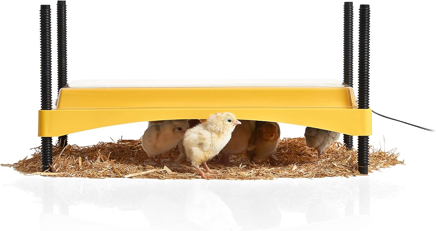 Brinsea Ecoglow 1200 Brooder: Safe, Adjustable Heat for 35 Chicks