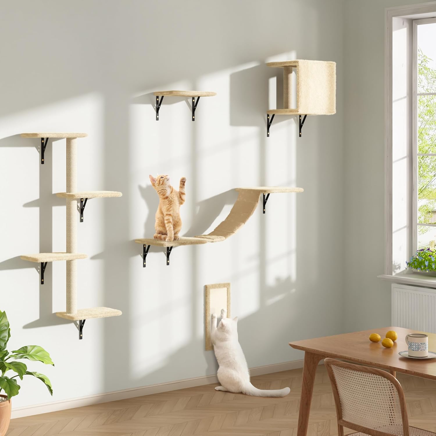COZIWOW Wall Mounted Cat Furniture Set of 5 for Active Cats