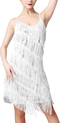 Women Salsa Latin Dance Dress Sequin Tassel Fringe Flapper - 1920s