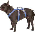 Vista Blue Escape Proof Dog Harness - Medium No Slip Reflective Vest