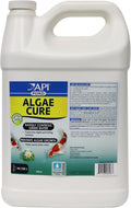 API POND SIMPLY CLEAR Pond Water Clarifier 64-Ounce - Fast Clear Water