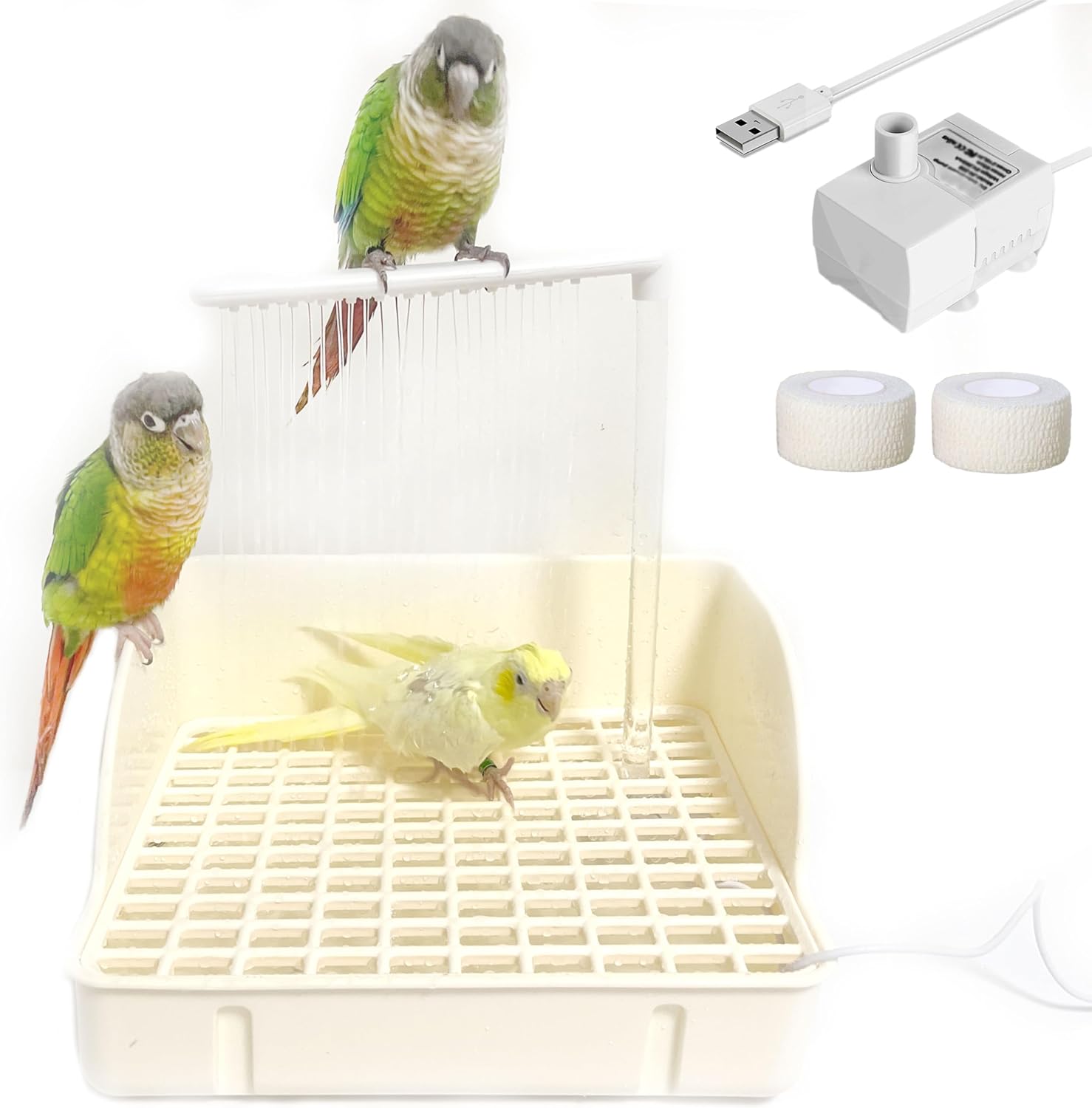 Indoor Parakeet Bird Bath: Running Water Bliss