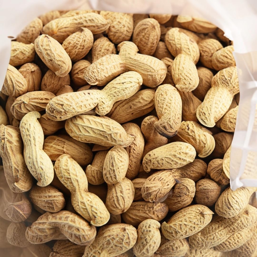 Fancy Roasted Salted Peanuts in the Shell 25 LB Bulk Box