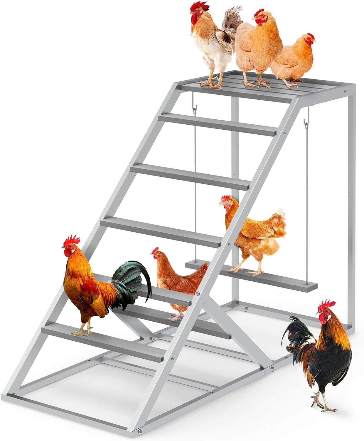 Chicken Coop Perches with Swing and Ladder for Happy Chickens