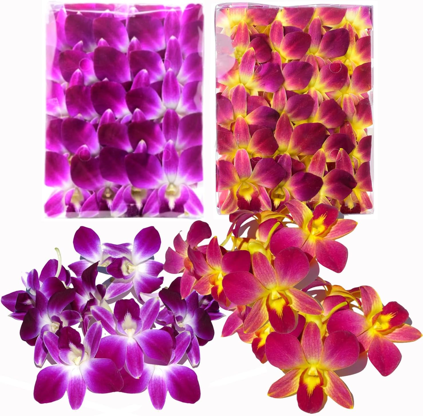 Fresh Orchid Flower Loose Bloom for DIY Leis and Decorations