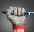 JZD stainless steel cutting resistant gloves - 304 ring protection