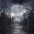Halloween Backdrop Vinyl Photo Background 8x8 ft - Moon Night Studio