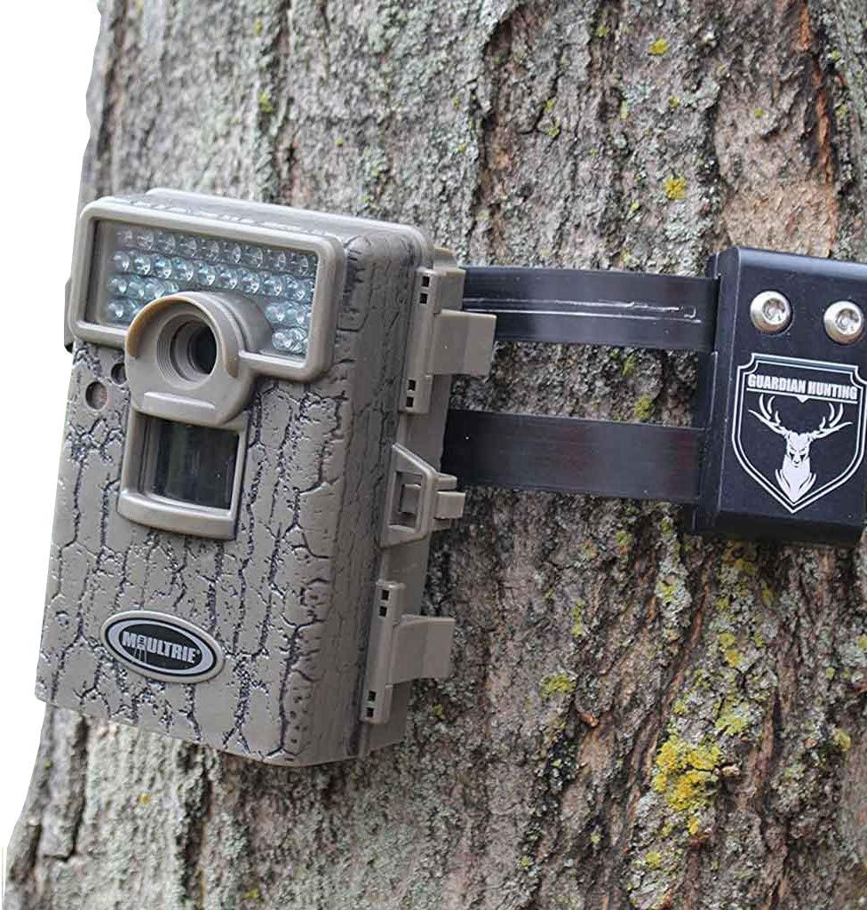 Secure Your Trail Camera with Guardian Lock
