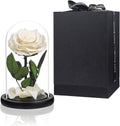 Preserved Flowers White Roses in Glass Dome - Everlasting Gift for Her