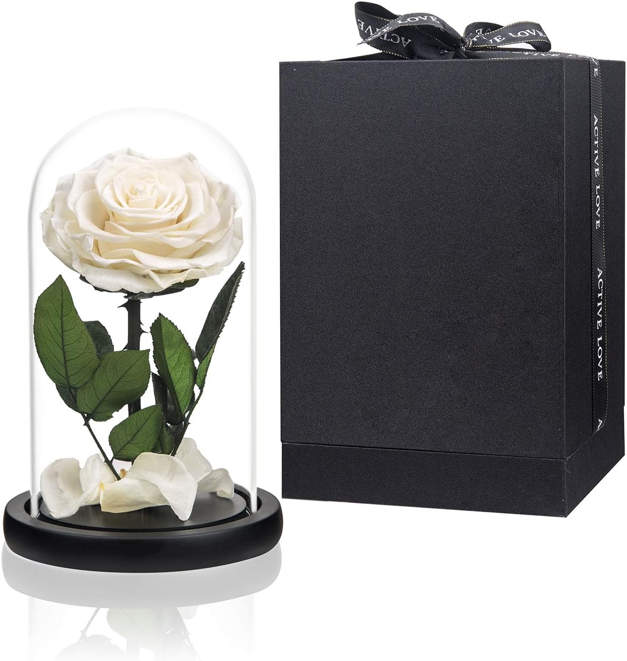 Preserved Flowers White Roses in Glass Dome for Unique Gifts